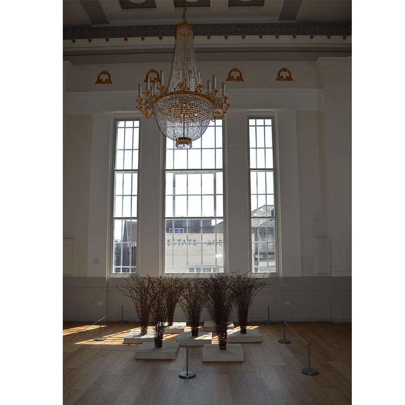 Selectaglaze secondary glazing in the Assembly Room of St Albans former Town Hall